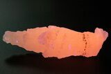 Pink Manganoan Calcite Formation - Highly Fluorescent! #337076-1